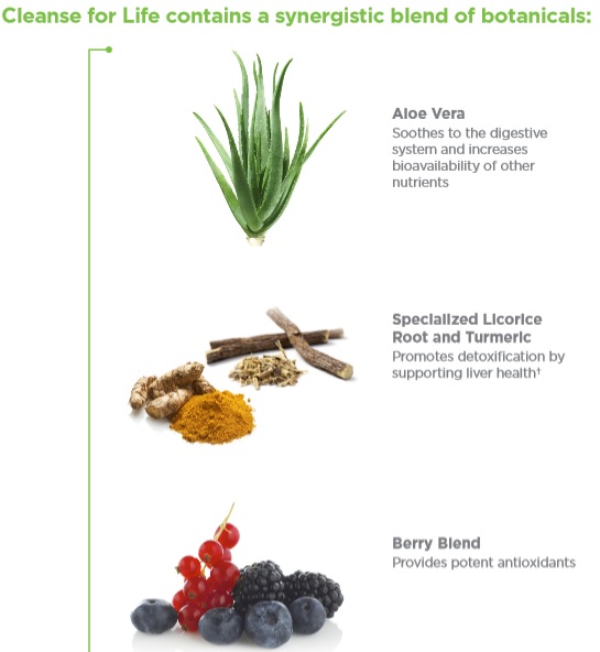 Some of Cleanse for Life Ingredients