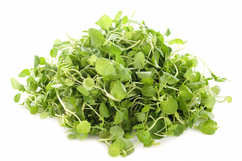 Watercress number one superfood