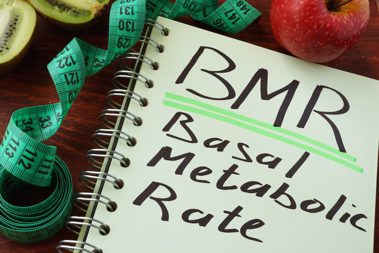 Basal Metabolic Rate 