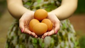 Woman holding a brown eggs
