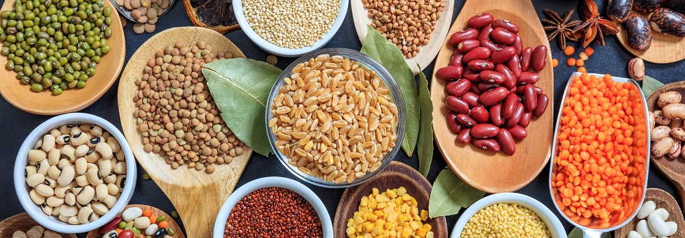 Legumes are a great source of protein