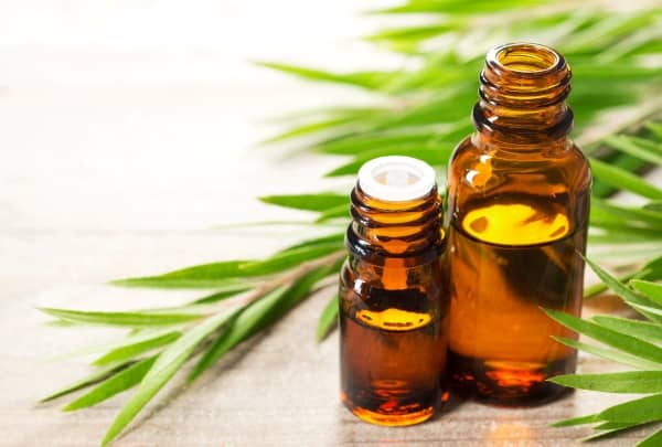 Tea tree oil is a popular choice for treating acne because of its anti-inflammatory and antimicrobial properties.